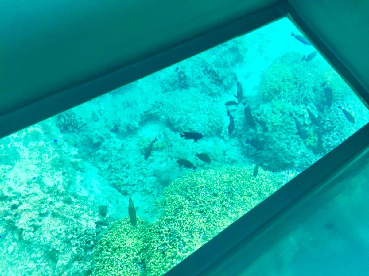 沖縄の自然と文化を体験できるゲストハウス一番座 Nanjō